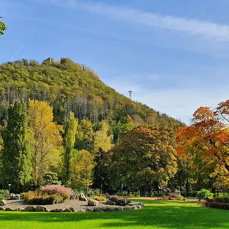 公寓 Bergzauber Mit Pool, Sauna, Balkon Und Panoramablick 巴特哈尔茨堡